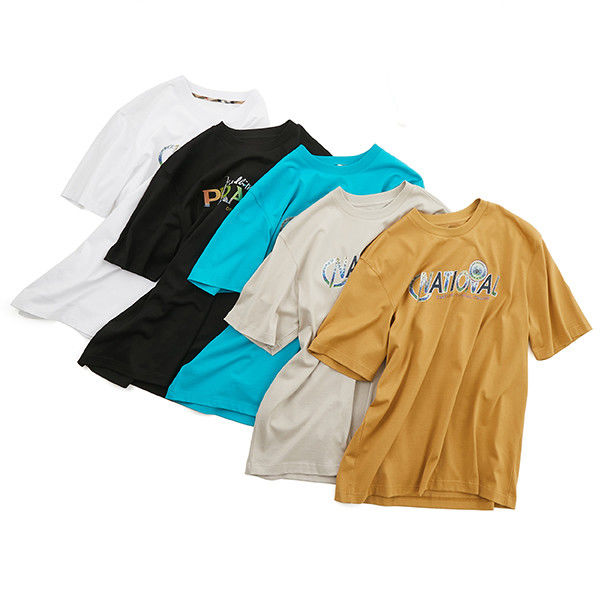 100% coton T-shirts sur mesure pour hommes surdimensionnés 240g pour un usage quotidien de bureau
